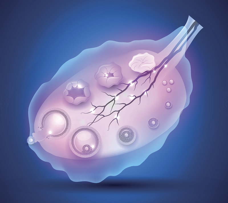 西宁试管婴儿医院实力大比拼：青海省妇幼保健院等五家机构深度解析，附7天囊胚移植费用与名医推荐指南